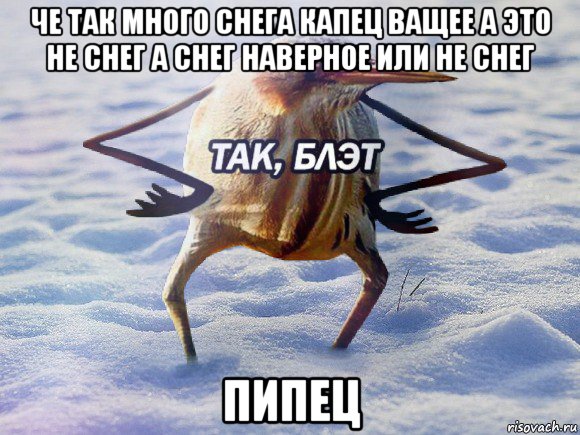 че так много снега капец ващее а это не снег а снег наверное или не снег пипец