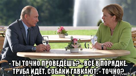  - ты точно проведёшь? - всё в порядке. труба идёт, собаки гавкают. - точно?, Мем Труба