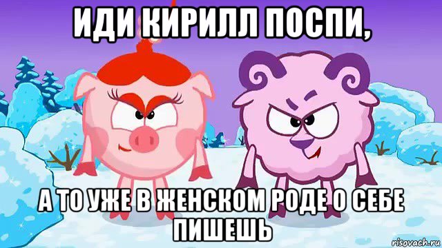 иди кирилл поспи, а то уже в женском роде о себе пишешь, Мем   Тупой Баран и Подлая Свинья