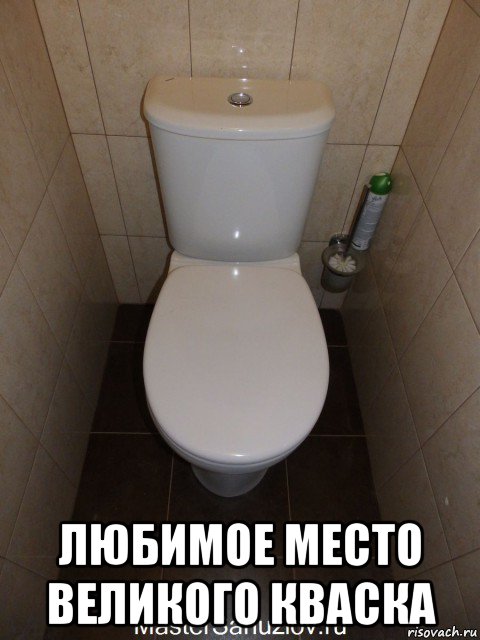  любимое место великого кваска, Мем Унитаз 2
