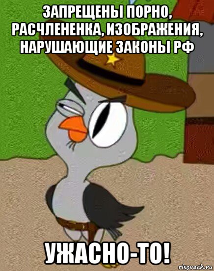 запрещены порно, расчлененка, изображения, нарушающие законы рф ужасно-то!, Мем    Упоротая сова