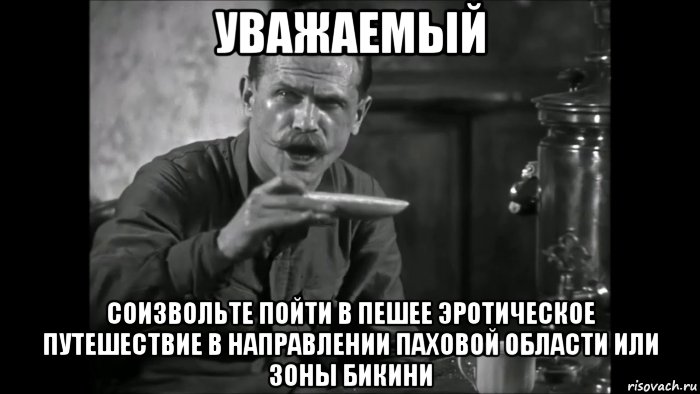 уважаемый соизвольте пойти в пешее эротическое путешествие в направлении паховой области или зоны бикини, Мем УВАЖАЕМЫЙ