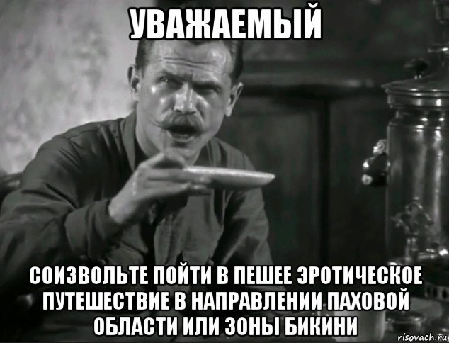 уважаемый соизвольте пойти в пешее эротическое путешествие в направлении паховой области или зоны бикини, Мем УВАЖАЕМЫЙ
