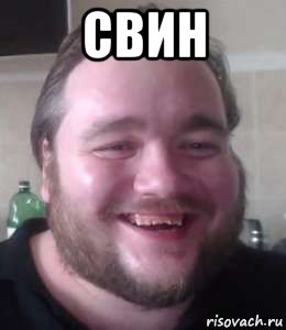 свин , Мем Влад Савельев