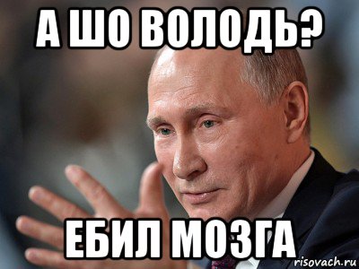 а шо володь? ебил мозга, Мем Володимир Володимирович