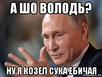 а шо володь? ну я козел сука ебичая, Мем Володимир Володимирович