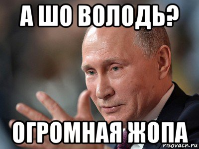 а шо володь? огромная жопа, Мем Володимир Володимирович