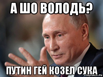 а шо володь? путин гей козел сука, Мем Володимир Володимирович