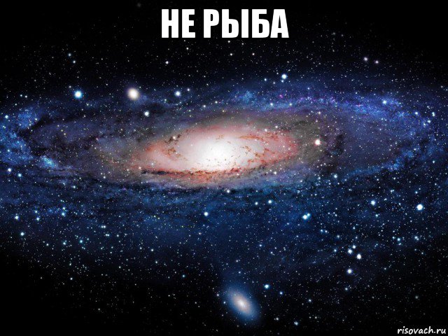 не рыба , Мем Вселенная