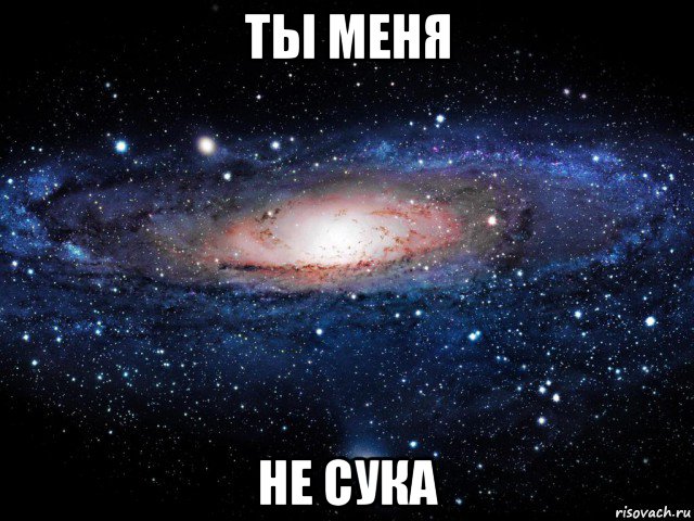 ты меня не сука, Мем Вселенная