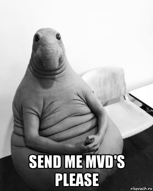  send me mvd's please, Мем  Ждун