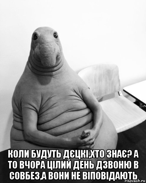  коли будуть дєцкі,хто знає? а то вчора цілий день дзвоню в совбез,а вони не віповідають, Мем  Ждун