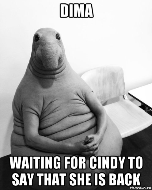 dima waiting for cindy to say that she is back