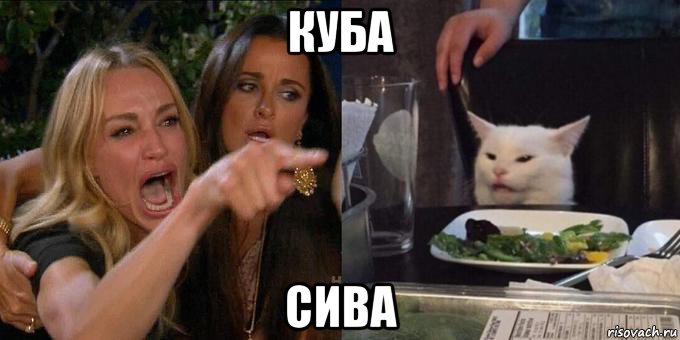 куба сива, Мем Женщина орёт на кота