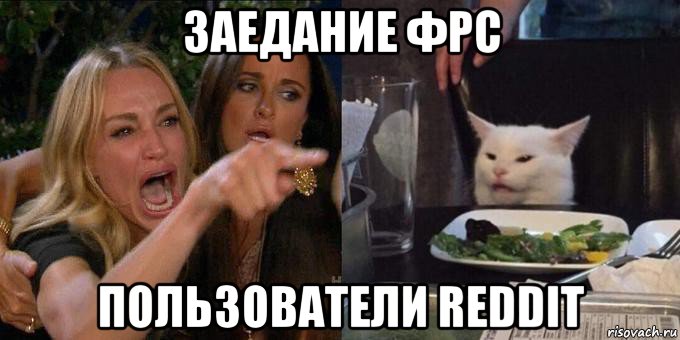 заедание фрс пользователи reddit, Мем Женщина орёт на кота