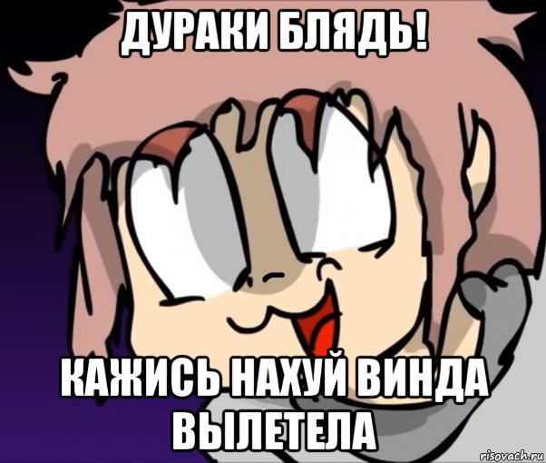 дураки блядь! кажись нахуй винда вылетела, Мем Жизненно 2021