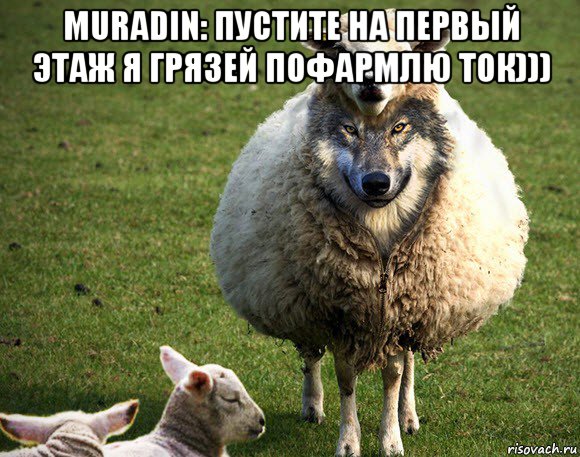 muradin: пустите на первый этаж я грязей пофармлю ток))) , Мем Злая Овца