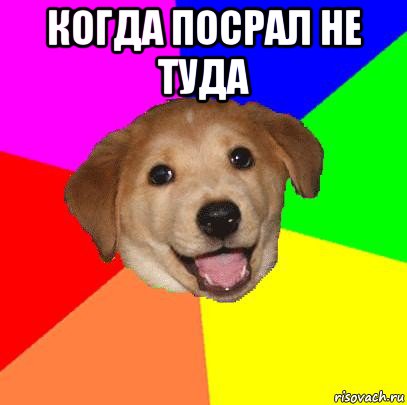 когда посрал не туда , Мем Advice Dog