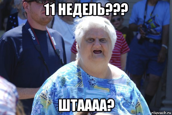 11 недель??? штаааа?, Мем Шта (Бабка wat)