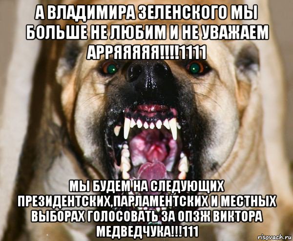 а владимира зеленского мы больше не любим и не уважаем арряяяяя!!!!1111 мы будем на следующих президентских,парламентских и местных выборах голосовать за опзж виктора медведчука!!!111, Мем бешеная собака