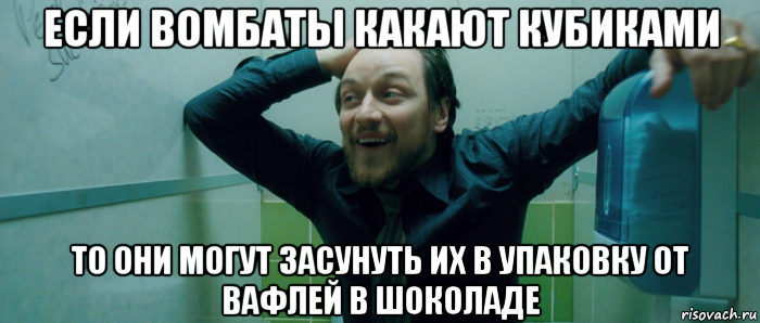 если вомбаты какают кубиками то они могут засунуть их в упаковку от вафлей в шоколаде, Мем  Что происходит