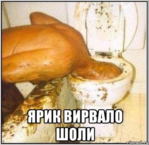  ярик вирвало шоли