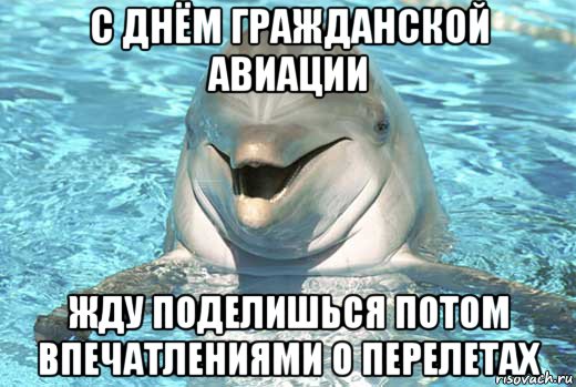 с днём гражданской авиации жду поделишься потом впечатлениями о перелетах, Мем Дельфин