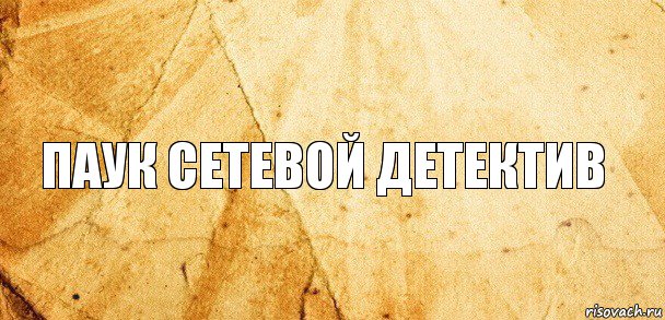 Паук сетевой детектив