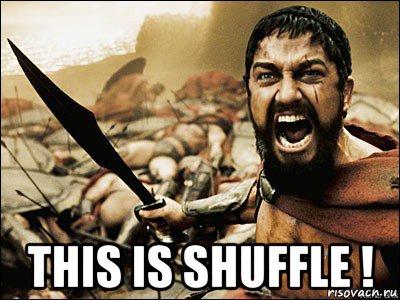  this is shuffle !, Мем Это Спарта