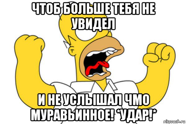 чтоб больше тебя не увидел и не услышал чмо муравьинное! *удар!*, Мем Разъяренный Гомер