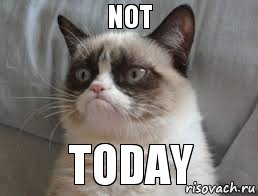 not    today, Комикс grumpy cat