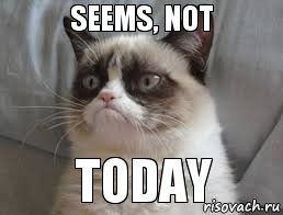 seems, not    today, Комикс grumpy cat