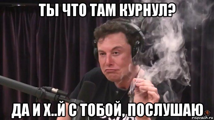 ты что там курнул? да и х..й с тобой, послушаю, Мем Илон Маск