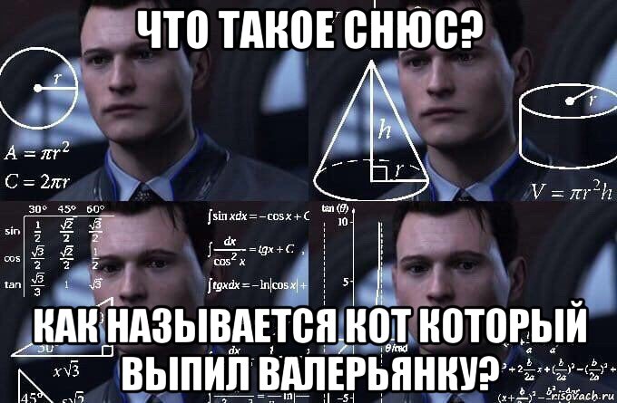 что такое снюс? как называется кот который выпил валерьянку?, Мем  Коннор задумался