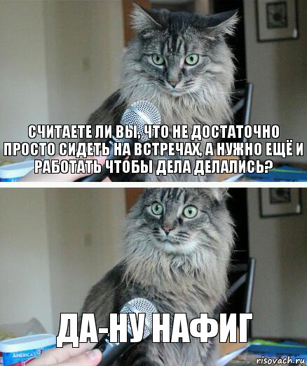 считаете ли вы, что не достаточно просто сидеть на встречах, а нужно ещё и работать чтобы дела делались? да-ну нафиг, Комикс  кот с микрофоном