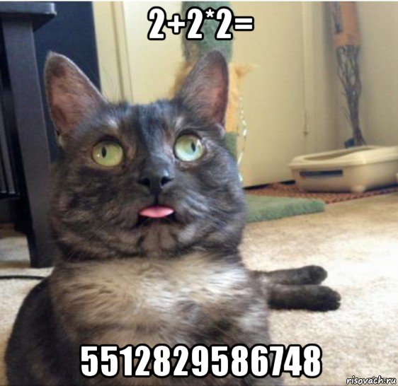 2+2*2= 5512829586748, Мем   Кот завис