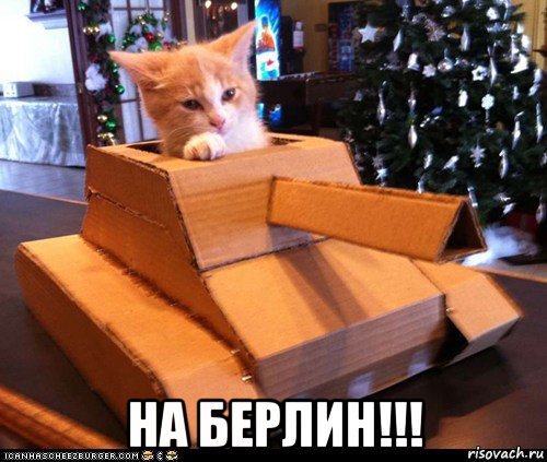  на берлин!!!, Мем Котэ танкист