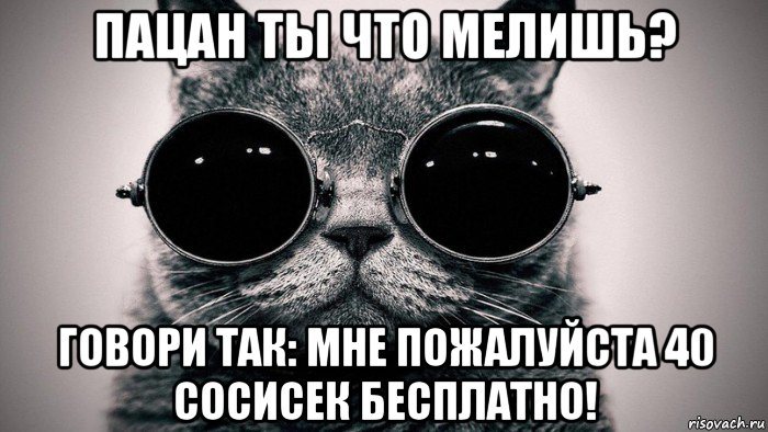 пацан ты что мелишь? говори так: мне пожалуйста 40 сосисек бесплатно!, Мем Котоматрица