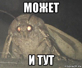 может и тут, Мем Матылёк