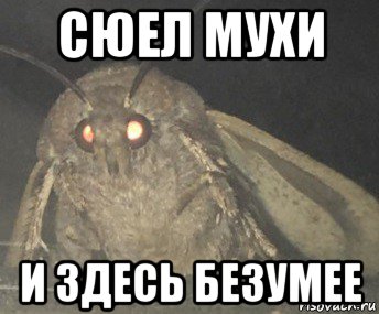 сюел мухи и здесь безумее, Мем Матылёк