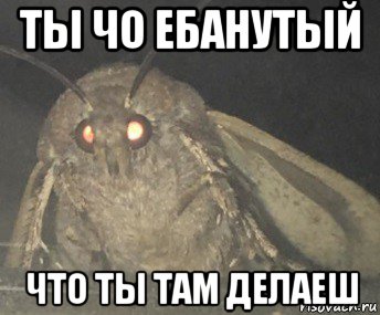 ты чо ебанутый что ты там делаеш