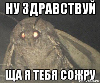 ну здравствуй ща я тебя сожру