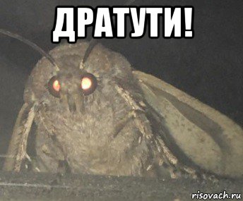 дратути! 