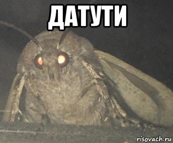 датути 