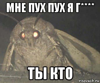 мне пух пух я г**** ты кто