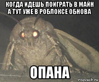 когда идешь поиграть в майн а тут уже в роблоксе обнова опана, Мем Матылёк