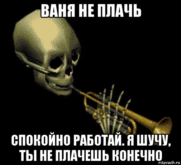 ваня не плачь спокойно работай. я шучу, ты не плачешь конечно, Мем Мистер дудец