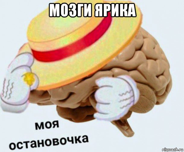 мозги ярика , Мем   Моя остановочка мозг