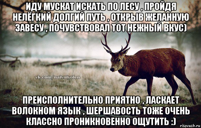 иду мускат искать по лесу , пройдя нелёгкий долгий путь , открыв желанную завесу , почувствовал тот нежный вкус) преисполнительно приятно , ласкает волокном язык , шершавость тоже очень классно проникновенно ощутить :), Мем naivehole