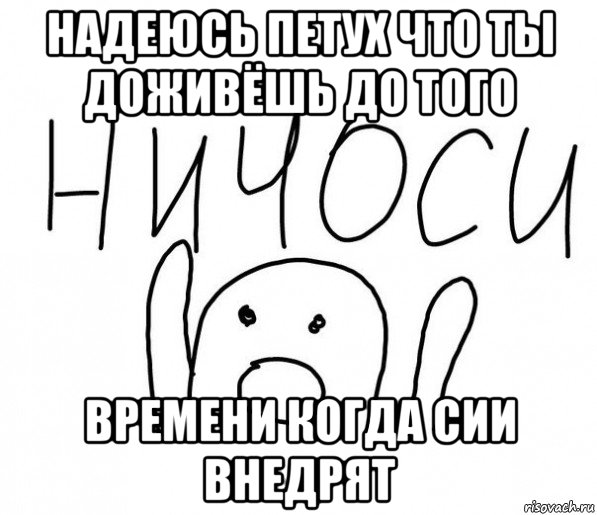 надеюсь петух что ты доживёшь до того времени когда сии внедрят, Мем  Ничоси